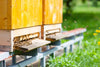 Treatment free beekeeping